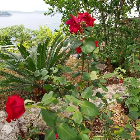 Lovely Sea View Studio *